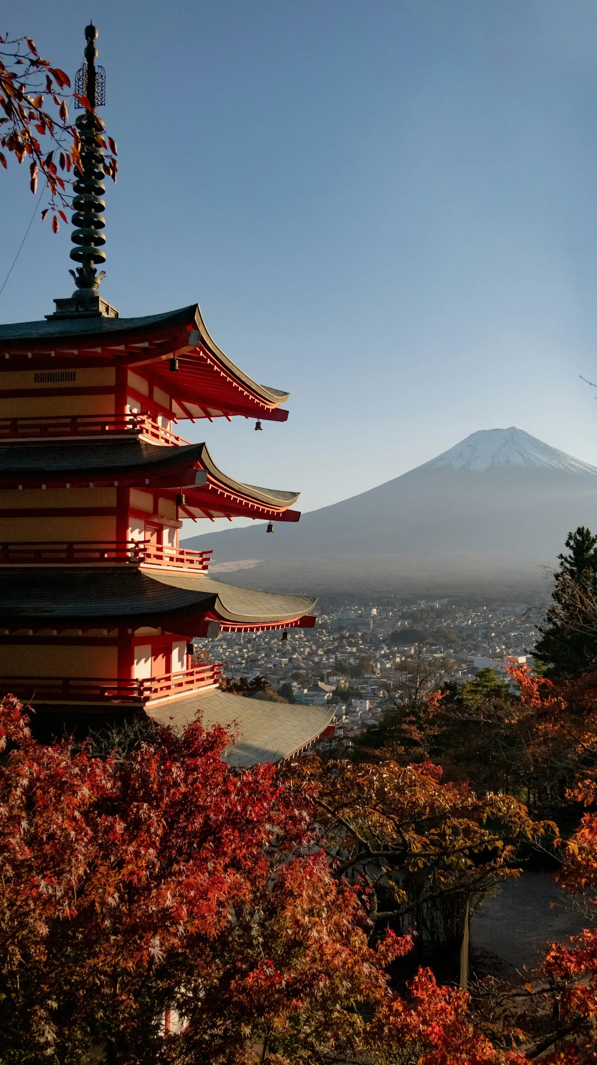 Autumn season in Japan with colorful fall foliage