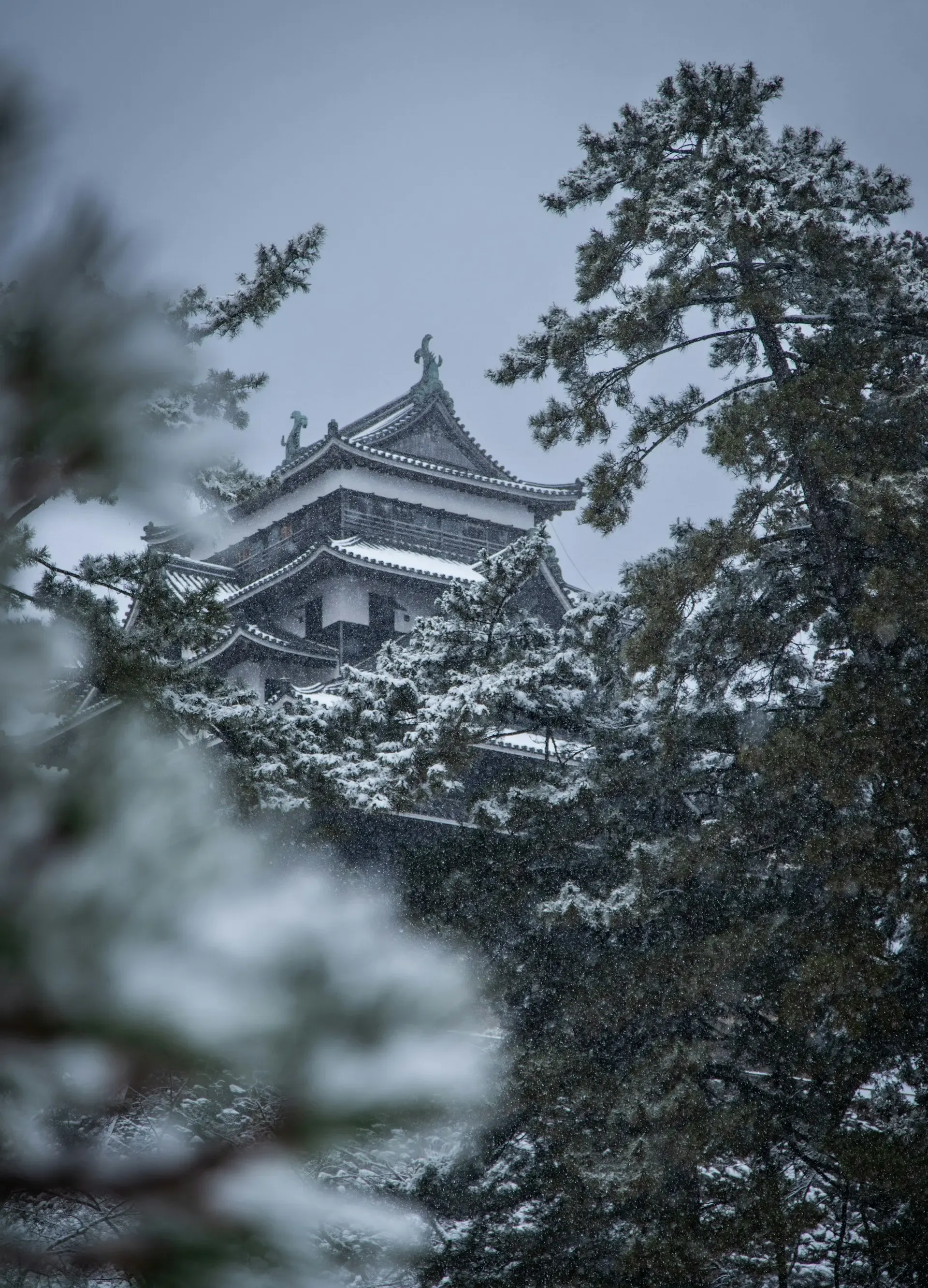 Winter season in Japan with snow-covered landscapes